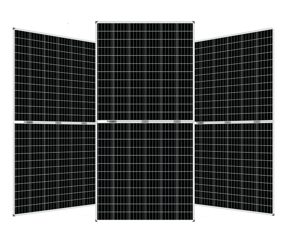Bifacials Solar Module