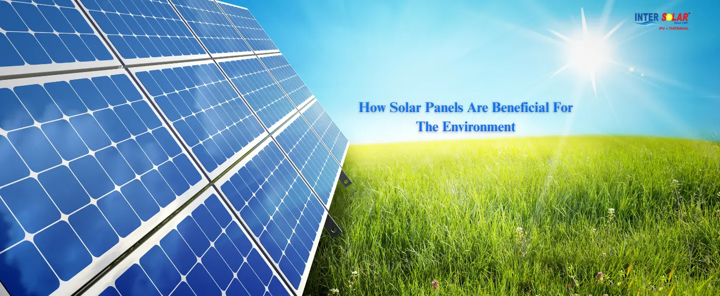 How Solar Power Positively Impacts the Environment in India